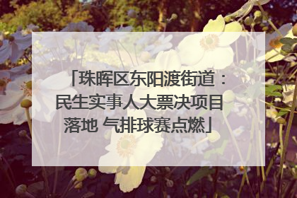珠晖区东阳渡街道：民生实事人大票决项目落地 气排球赛点燃