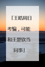王皓周日考编，可能和王楚钦当同事