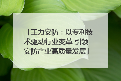 王力安防：以专利技术驱动行业变革 引领安防产业高质量发展