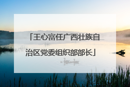 王心富任广西壮族自治区党委组织部部长
