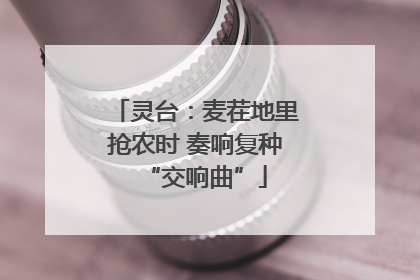 灵台：麦茬地里抢农时 奏响复种“交响曲”