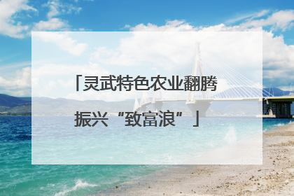 灵武特色农业翻腾振兴“致富浪”