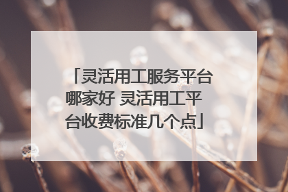灵活用工服务平台哪家好 灵活用工平台收费标准几个点