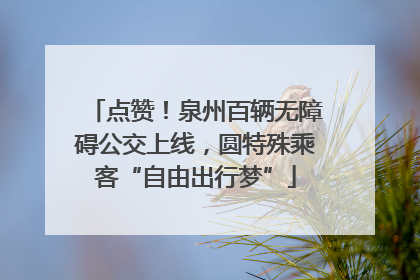 点赞！泉州百辆无障碍公交上线，圆特殊乘客“自由出行梦”