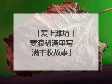 爱上潍坊丨麦浪翻涌里写满丰收故事