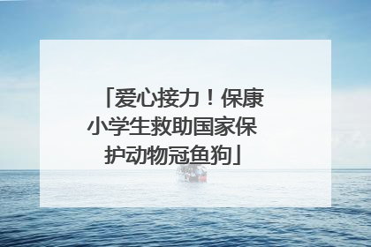爱心接力！保康小学生救助国家保护动物冠鱼狗