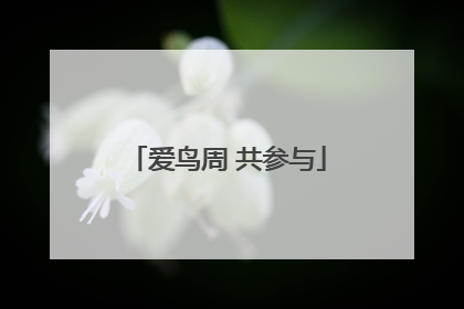 爱鸟周 共参与