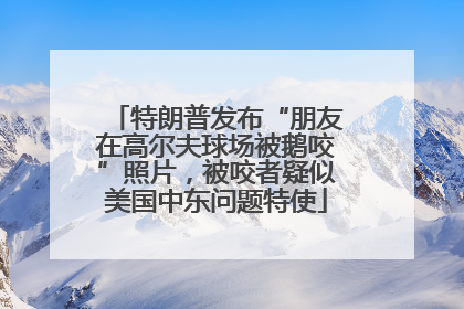 特朗普发布“朋友在高尔夫球场被鹅咬”照片,被咬者疑似美国中东问题特使