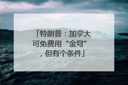 特朗普：加拿大可免费用“金穹”，但有个条件