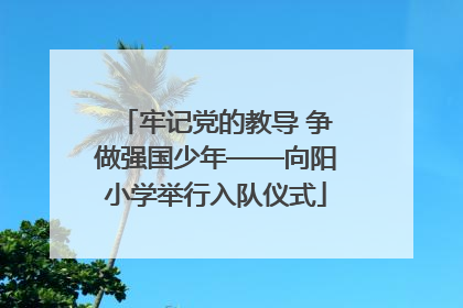 牢记党的教导 争做强国少年——向阳小学举行入队仪式