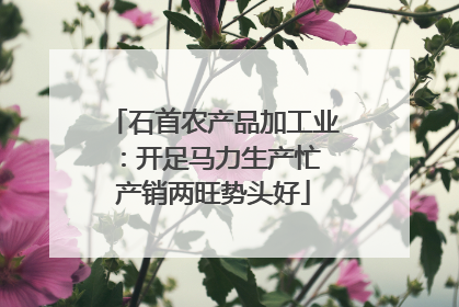 石首农产品加工业：开足马力生产忙 产销两旺势头好