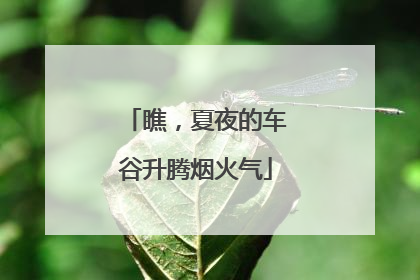 瞧，夏夜的车谷升腾烟火气