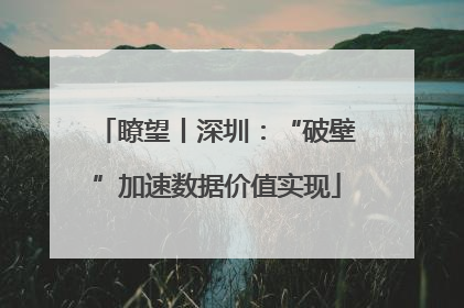 瞭望丨深圳：“破壁”加速数据价值实现