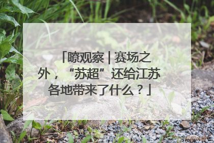 瞭观察 | 赛场之外，“苏超”还给江苏各地带来了什么？