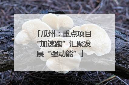 瓜州：重点项目“加速跑”汇聚发展“强动能”