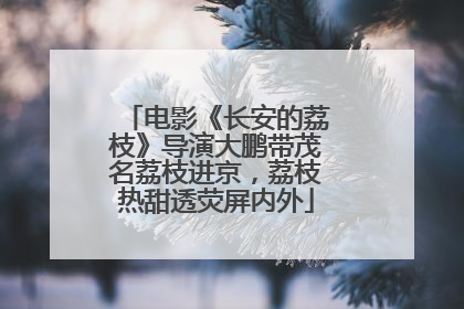 电影《长安的荔枝》导演大鹏带茂名荔枝进京，荔枝热甜透荧屏内外