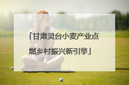 甘肃灵台小麦产业点燃乡村振兴新引擎