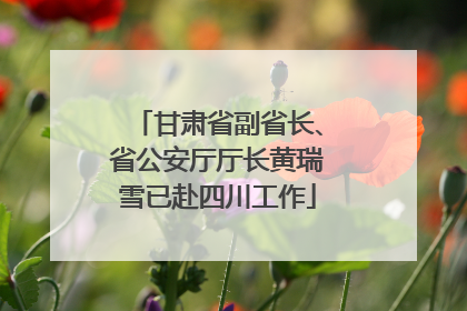 甘肃省副省长、省公安厅厅长黄瑞雪已赴四川工作