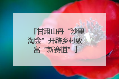 甘肃山丹“沙里淘金”开辟乡村致富“新赛道”