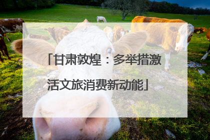 甘肃敦煌：多举措激活文旅消费新动能