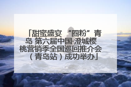甜蜜盛宴 “圈粉”青岛 第六届中国·澄城樱桃营销季全国巡回推介会（青岛站）成功举办