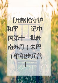 用钢枪守护和平——记中国第十一批赴南苏丹（朱巴）维和步兵营