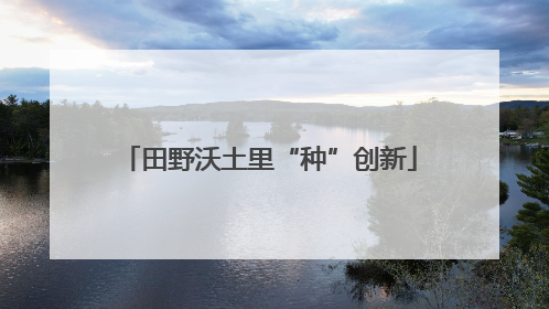 田野沃土里“种”创新