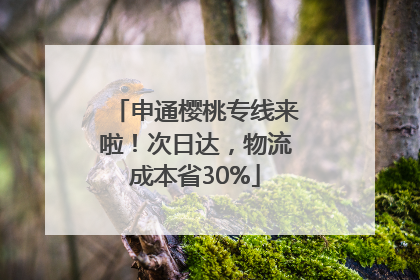 申通樱桃专线来啦！次日达，物流成本省30%