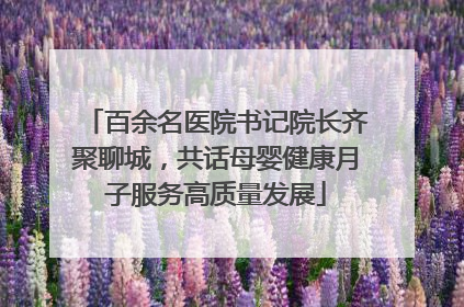 百余名医院书记院长齐聚聊城，共话母婴健康月子服务高质量发展
