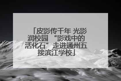 皮影传千年 光影润校园 “影戏中的活化石”走进通州五接滨江学校