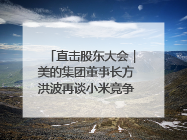 直击股东大会｜美的集团董事长方洪波再谈小米竞争：行业一片红海，打法已固定，无论谁胜都是消耗战