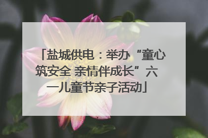 盐城供电：举办“童心筑安全 亲情伴成长”六一儿童节亲子活动