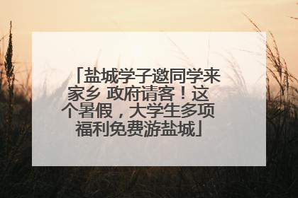 盐城学子邀同学来家乡 政府请客！这个暑假，大学生多项福利免费游盐城