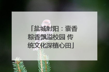 盐城射阳：囊香粽香飘溢校园 传统文化深植心田