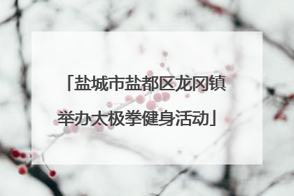 盐城市盐都区龙冈镇举办太极拳健身活动