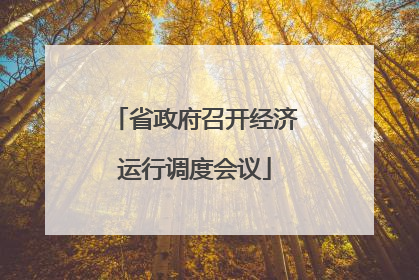 省政府召开经济运行调度会议
