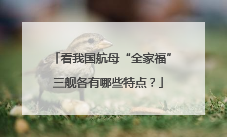 看我国航母“全家福” 三舰各有哪些特点？
