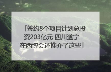 签约8个项目计划总投资203亿元 四川遂宁在西博会还推介了这些