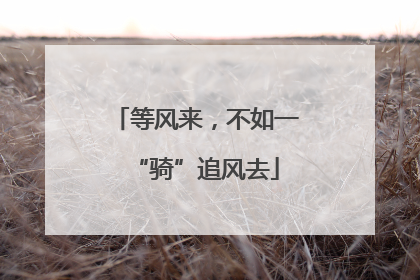等风来，不如一“骑”追风去