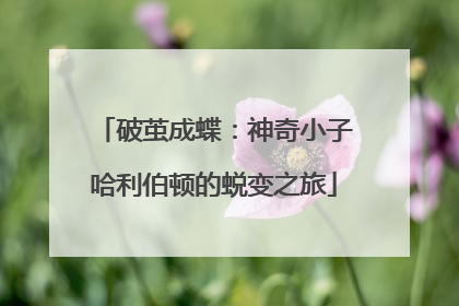 破茧成蝶：神奇小子哈利伯顿的蜕变之旅
