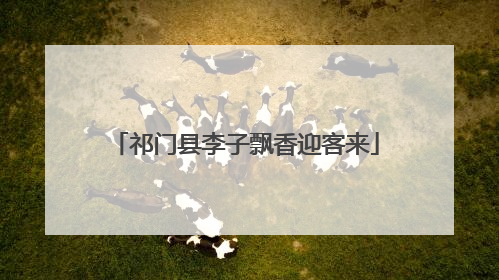 祁门县李子飘香迎客来