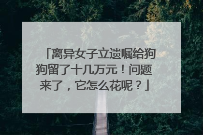 离异女子立遗嘱给狗狗留了十几万元！问题来了，它怎么花呢？