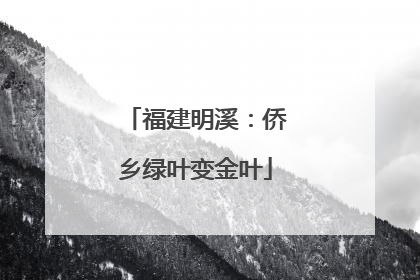 福建明溪：侨乡绿叶变金叶
