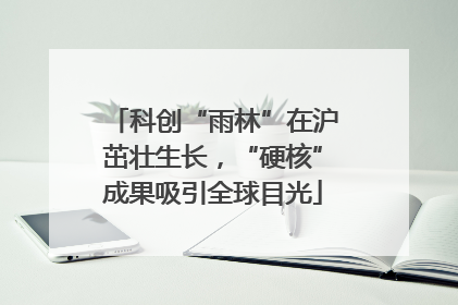 科创“雨林”在沪茁壮生长，“硬核”成果吸引全球目光