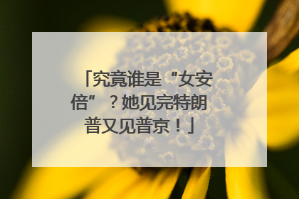 究竟谁是“女安倍”？她见完特朗普又见普京！