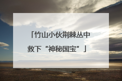 竹山小伙荆棘丛中救下“神秘国宝”