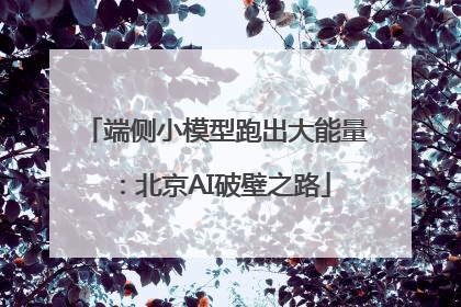 端侧小模型跑出大能量：北京AI破壁之路