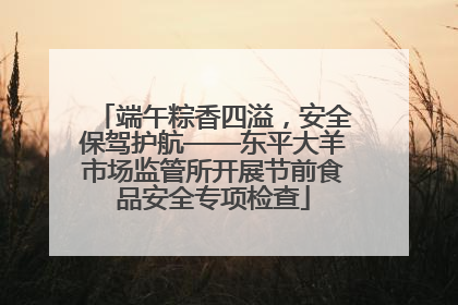 端午粽香四溢，安全保驾护航——东平大羊市场监管所开展节前食品安全专项检查