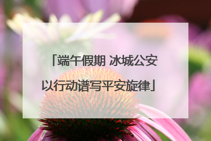 端午假期 冰城公安以行动谱写平安旋律