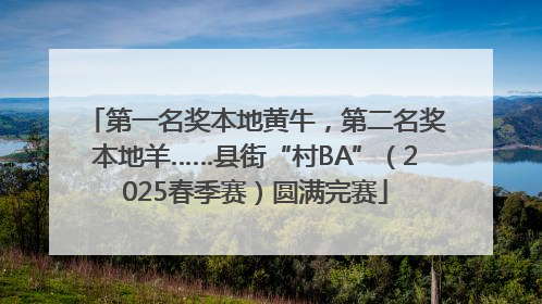 第一名奖本地黄牛，第二名奖本地羊……县街“村BA”（2025春季赛）圆满完赛